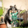 Quapas! Dog Toy Sport rugby ball L