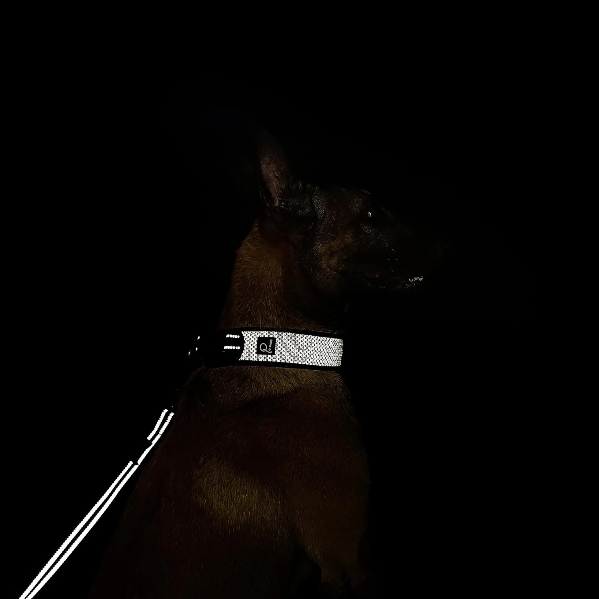 Quapas! Halsband Ultra Comfort Reflective