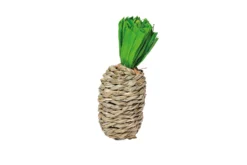 Quapas! Hibiscus woven pineapple L