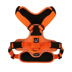 Quapas! Hondentuig Oranje