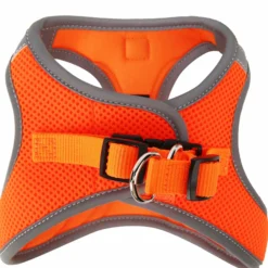 Quapas! Hondentuig Soft Oranje