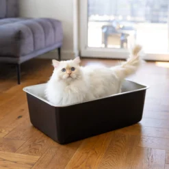Quapas! Kattenbak RVS zwart