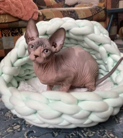 Quapas! Kattenmand Iglo Mint