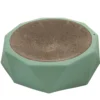 Quapas! Krabbed Playtime green