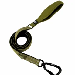 Quapas! Padded Reflective Hondenriem Groen