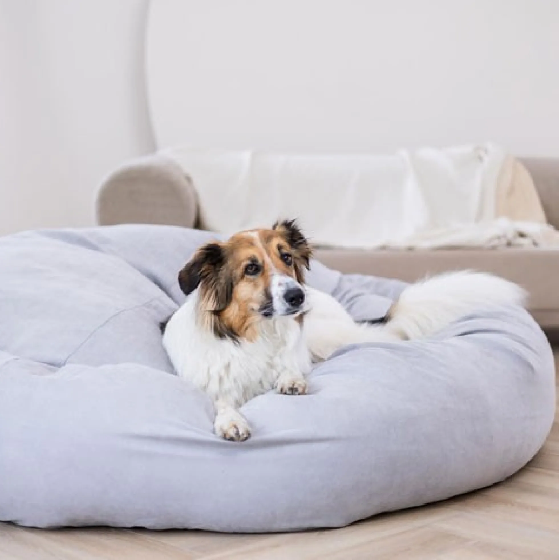 Quapas! Super Snuggler Hondenkussen XXL