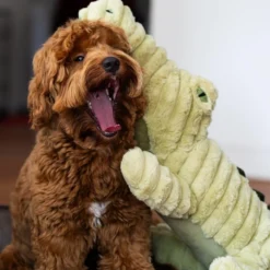 Quapas! XXL Hondenknuffel Krokodil