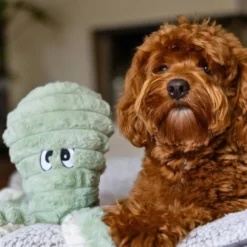 Quapas! XXL Hondenknuffel Octopus Groen