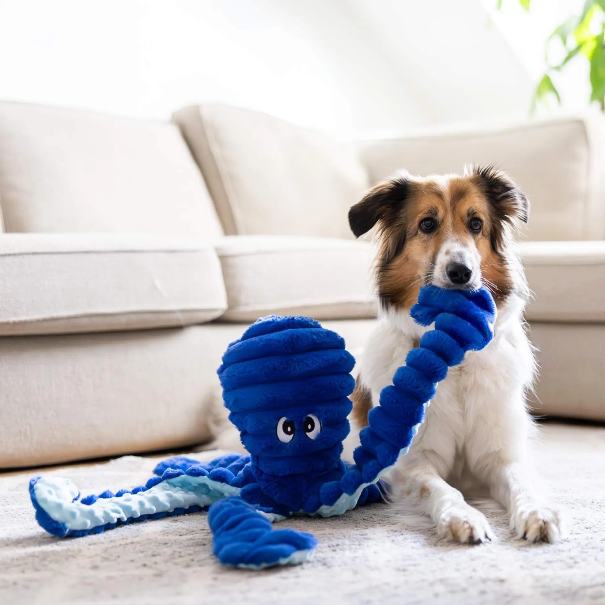 Quapas! XXL Hondenknuffel Octopus Navy Blauw