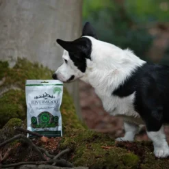 Riverwood Beloningssnack Shepherd's Friend Lam en Konijn