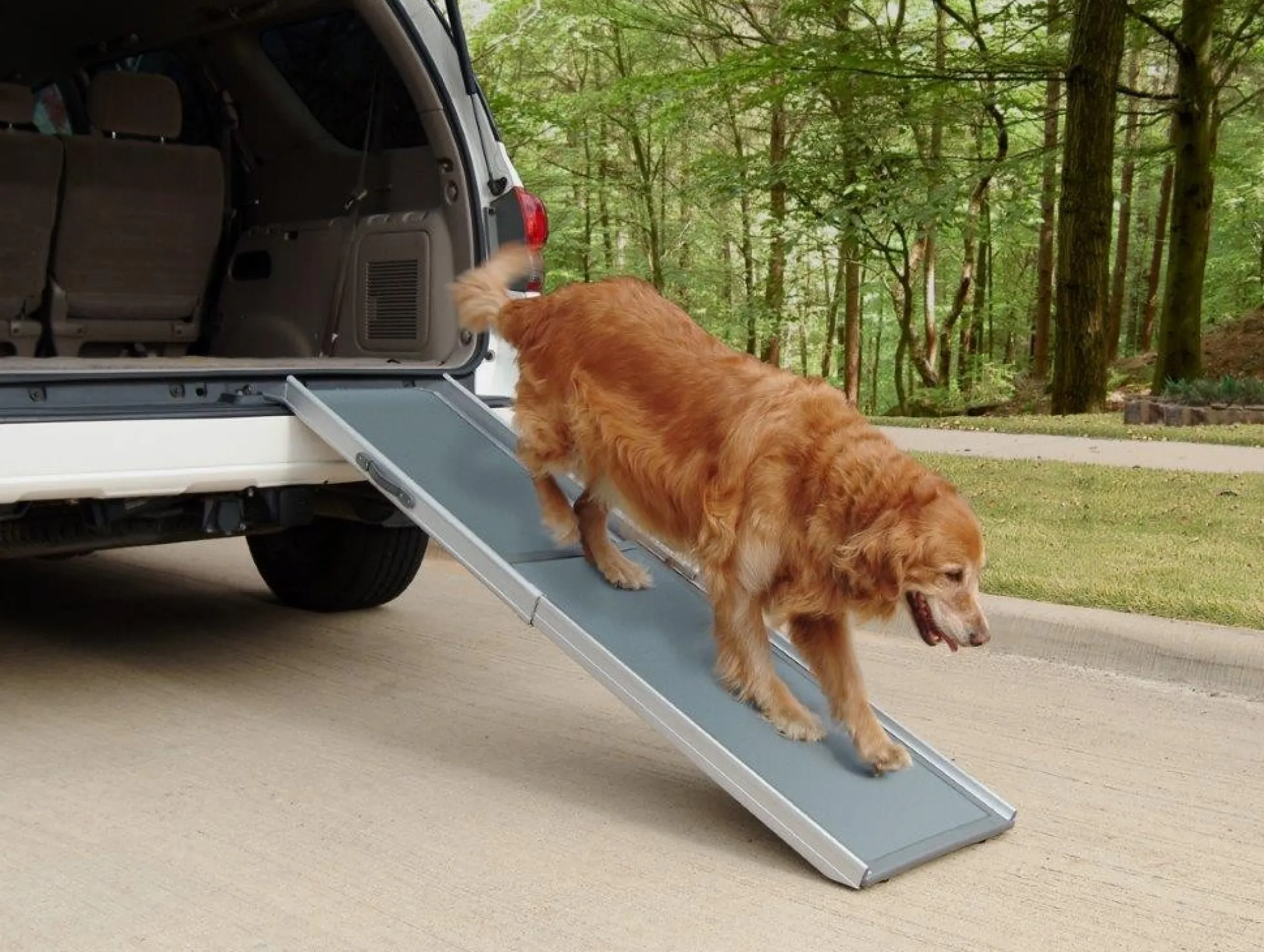 Telescoping dog ramp