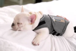 Thundershirt