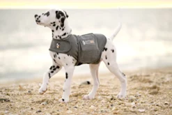 Thundershirt