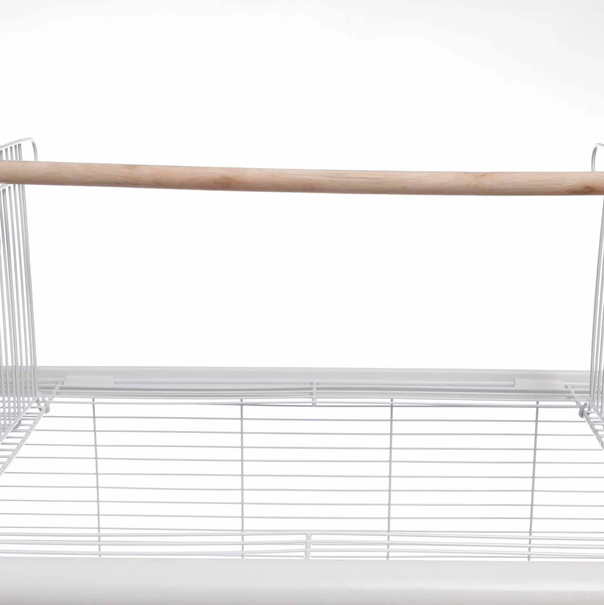 Vogelkooi Ceasar M met Standaard Wit