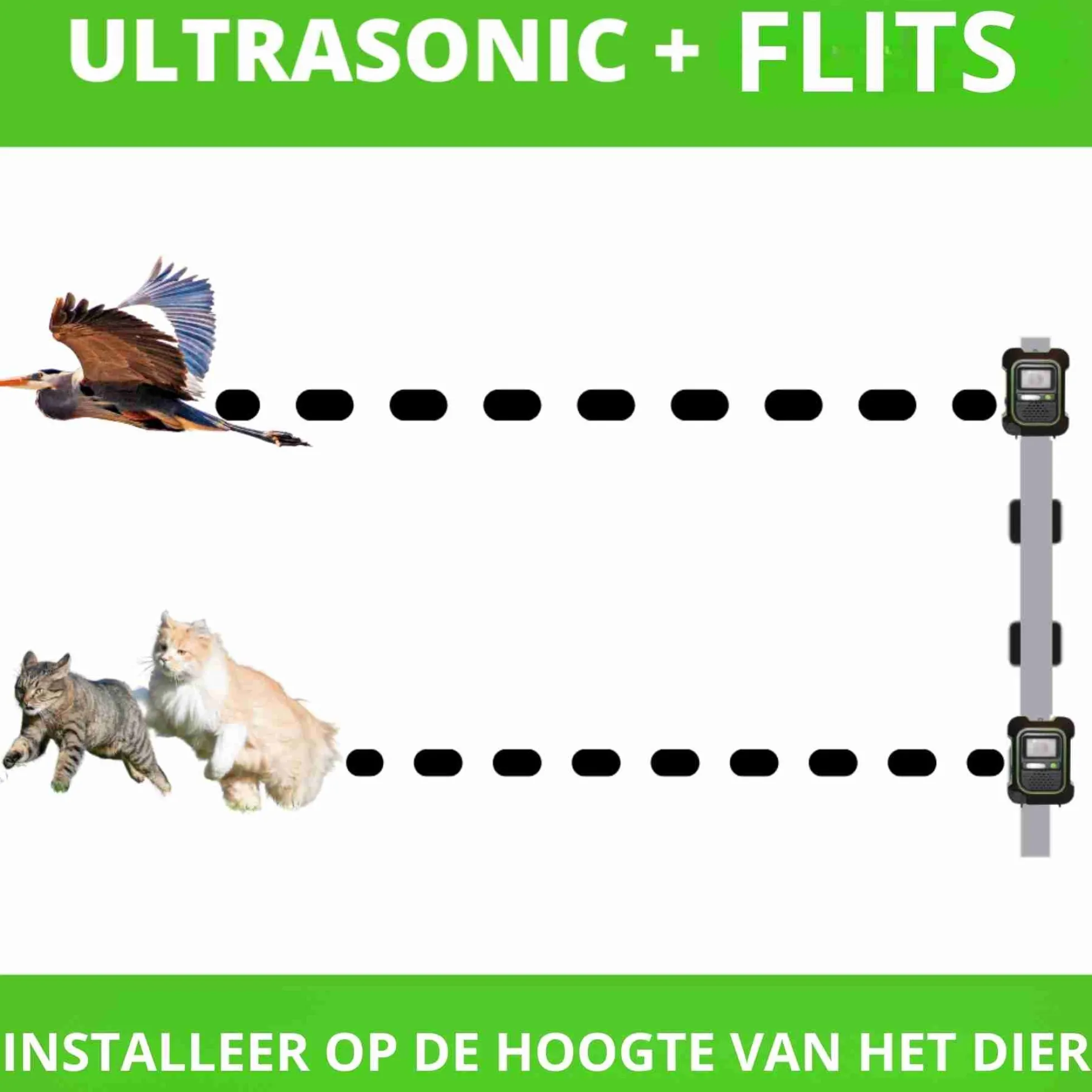 Weitech Ultrasone Dierenverjager met Flits
